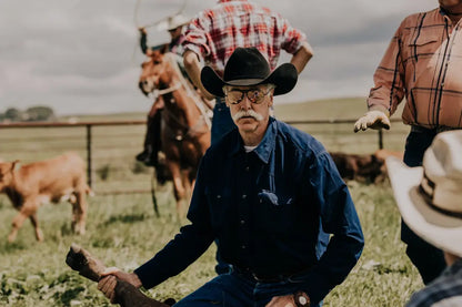 BEX Wesley Sunglasses Sunglasses