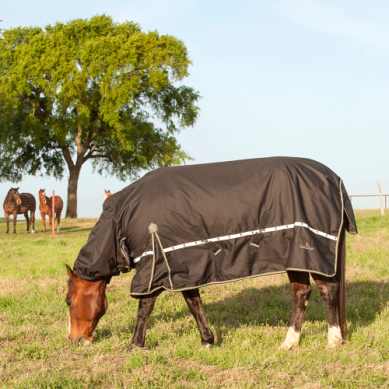 Classic Equine 5K Cross Trainer Winter Blanket - Hooded