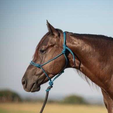 Classic Equine Rope Halter and 9' Lead Rope