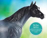 Breyer Freedom Series "Blue Roan Appaloosa"