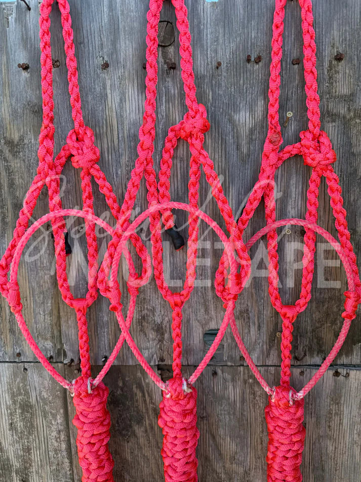 Special C Muletape Lariat Halter w/ Lead