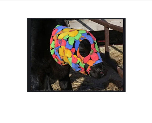 Calf Ear Savers Calving