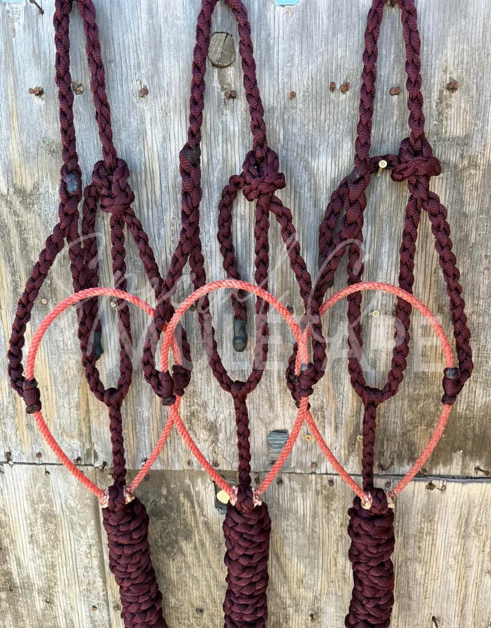 Special C Muletape Lariat Halter w/ Lead