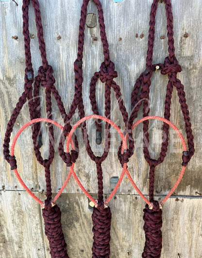 Special C Muletape Lariat Halter w/ Lead