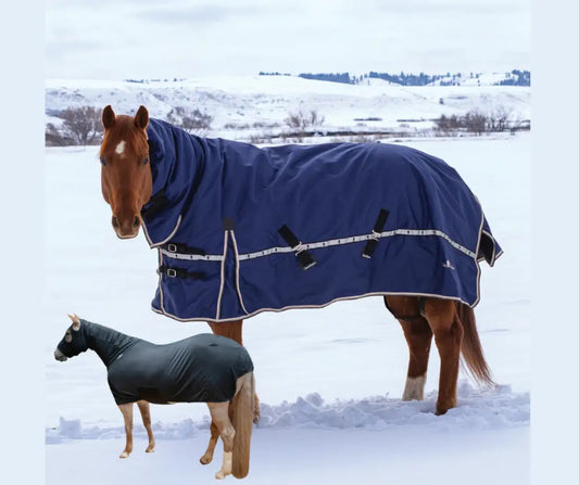 Classic Equine 10K Cross Trainer Winter Blanket - Hooded Winter Blanket