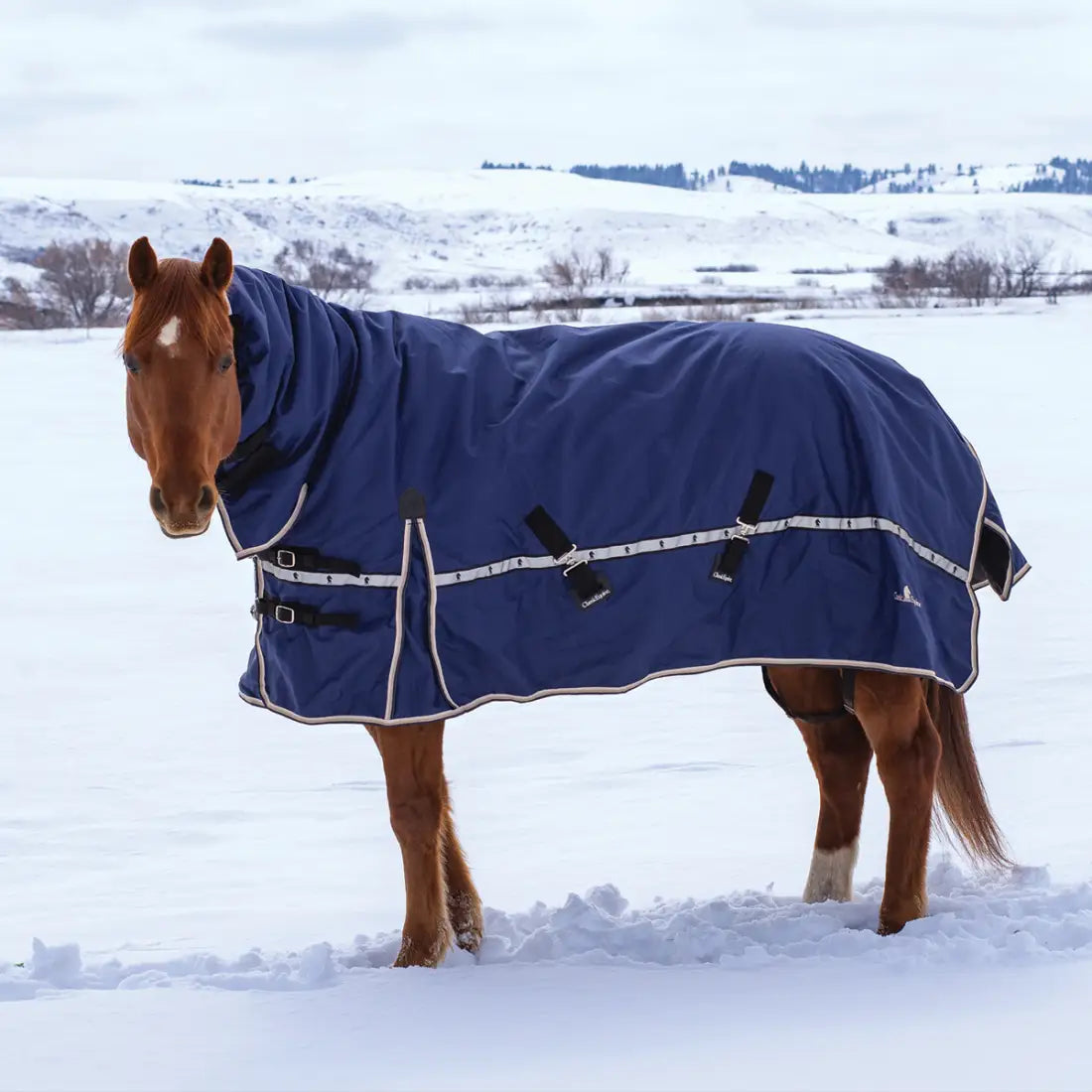 Classic Equine 10K Cross Trainer Winter Blanket - Hooded XSmall / Indigo Winter Blanket