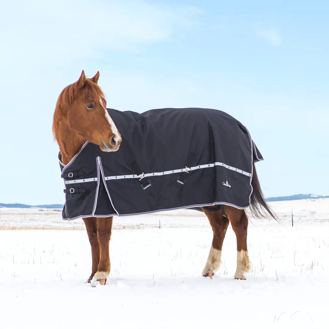 Classic Equine 10K Cross Trainer Winter Blanket - No Neck Winter Blanket
