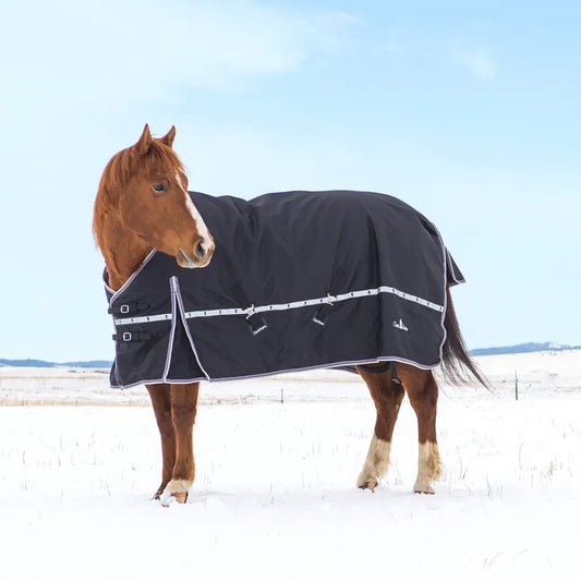 Classic Equine 10K Cross Trainer Winter Blanket - No Neck Winter Blanket