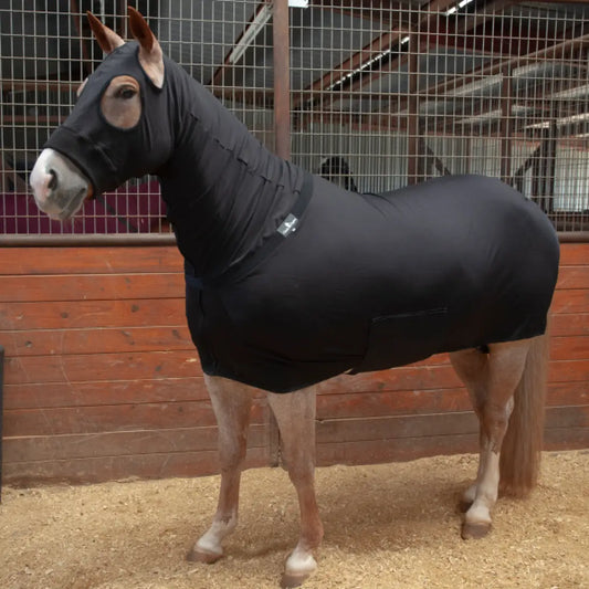 Classic Equine Full-Body Slinky Small (Yearling) / Black Cooler