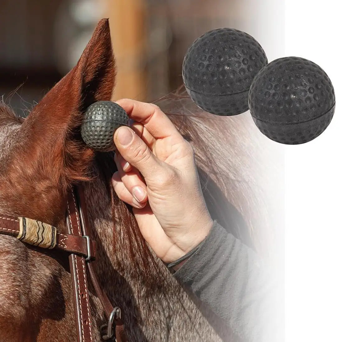 Classic Equine Horse Ear Plugs Equine Accessories