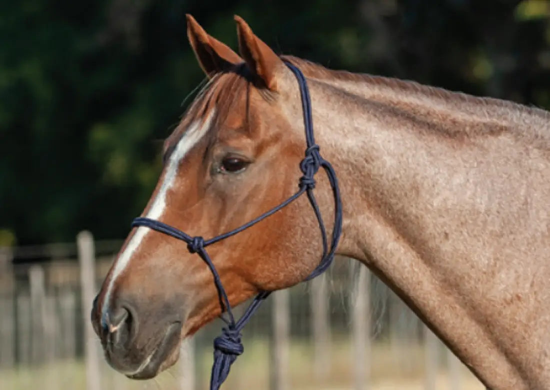Classic Equine Nylon Rope Halter Halter