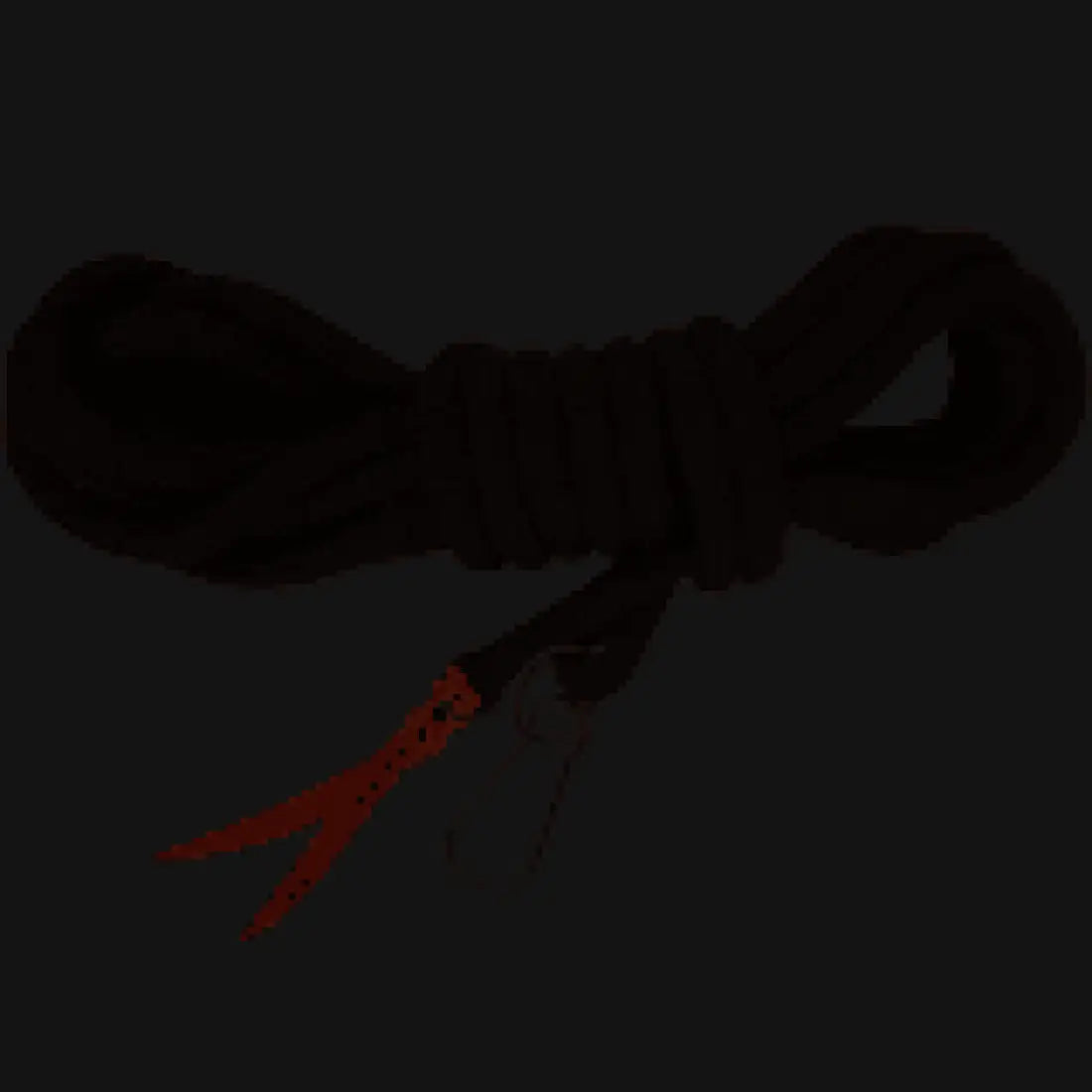 Classic Equine Premium Long Lunge Line Black Halter