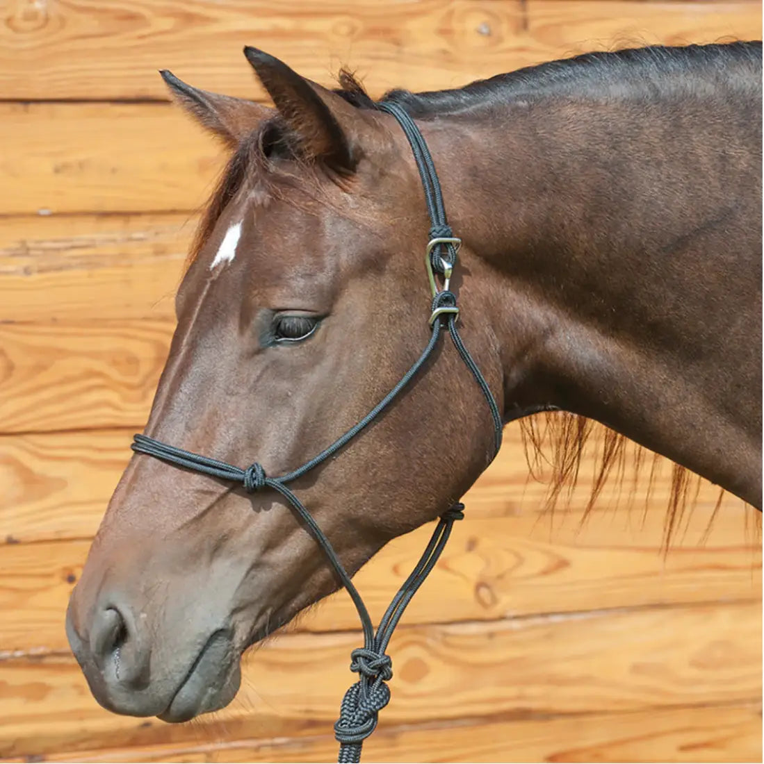 Classic Equine Quick Change Rope Halter & Lead Black Halter
