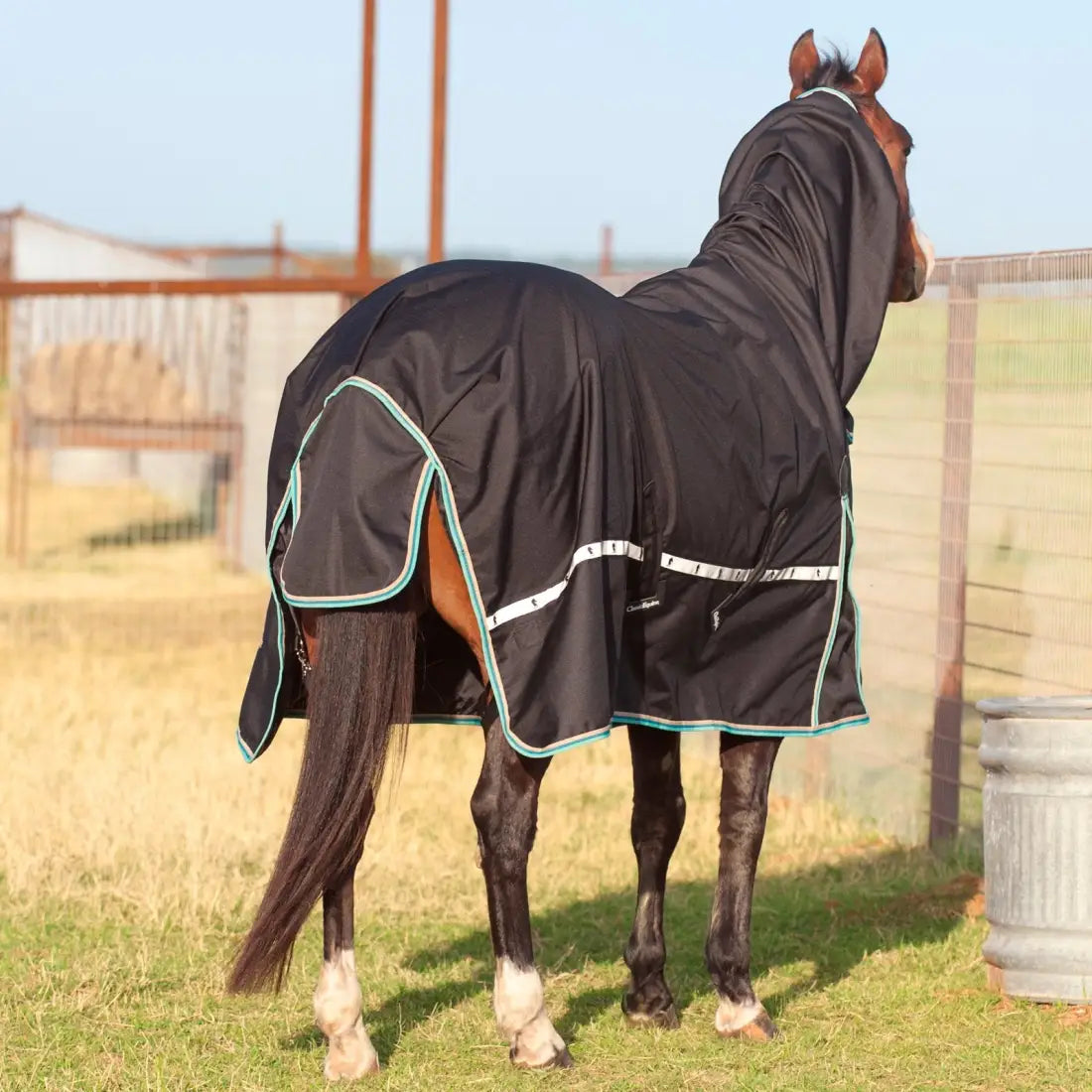 Classic Equine Windbreaker Turnout Sheet - Hooded Rain Sheet