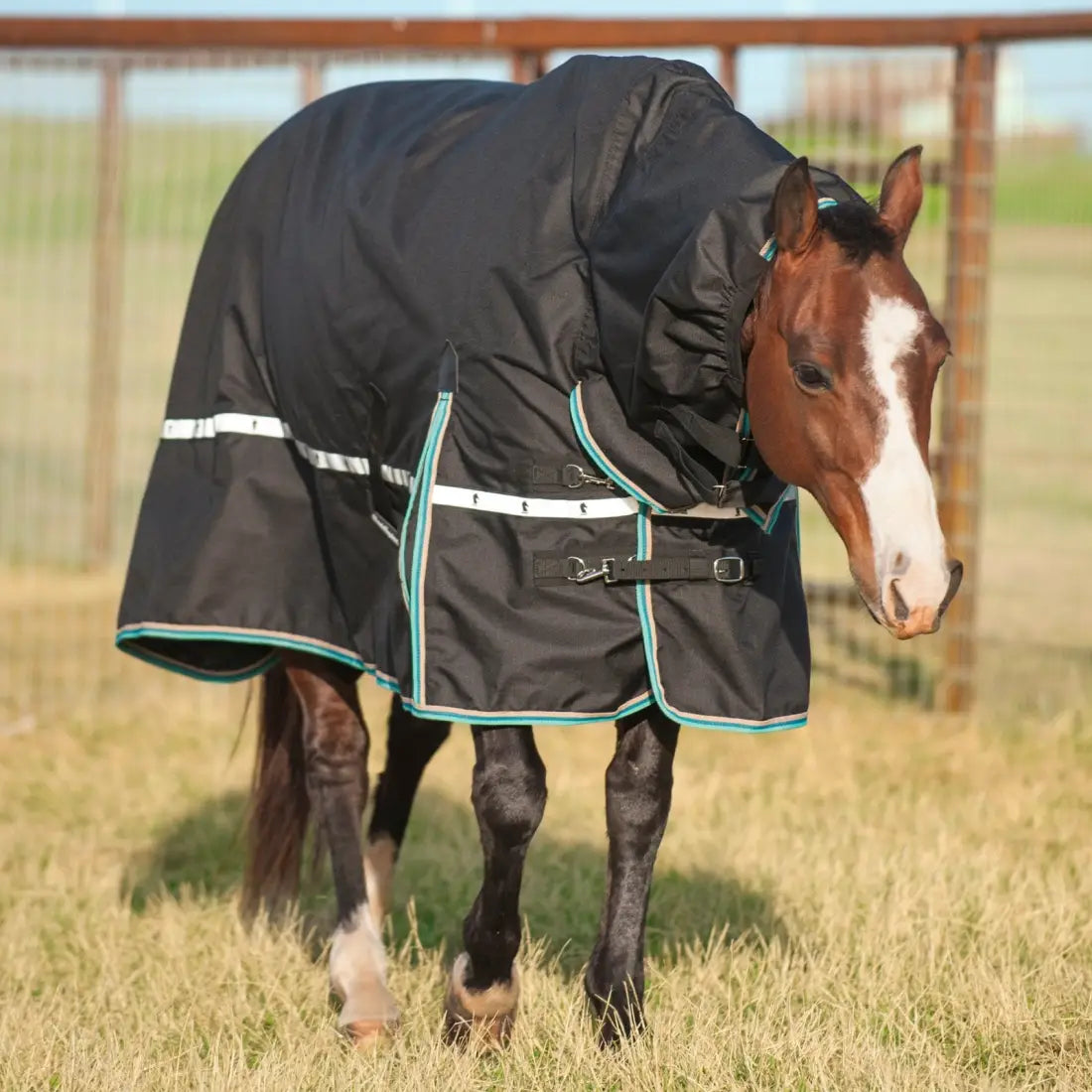Classic Equine Windbreaker Turnout Sheet - Hooded Rain Sheet