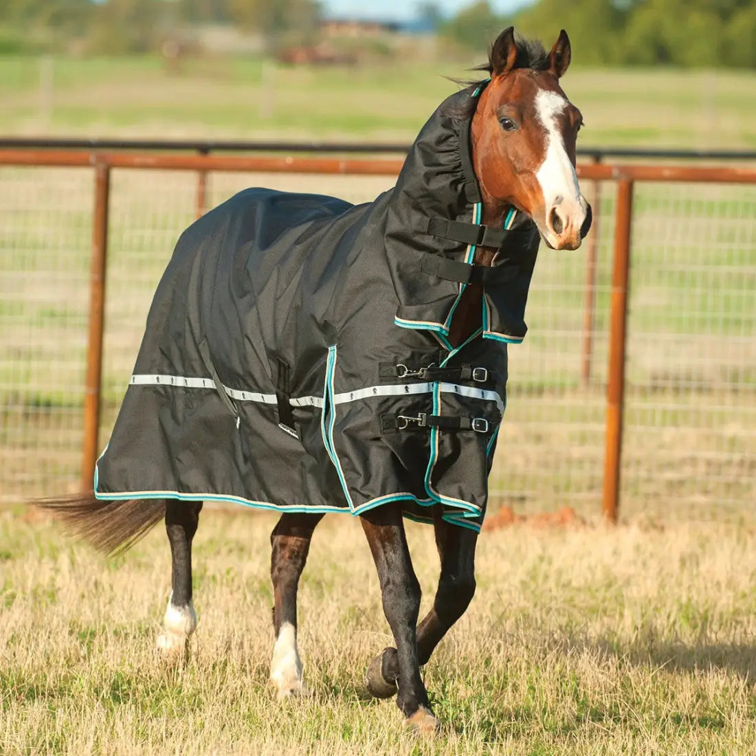 Classic Equine Windbreaker Turnout Sheet - Hooded Rain Sheet