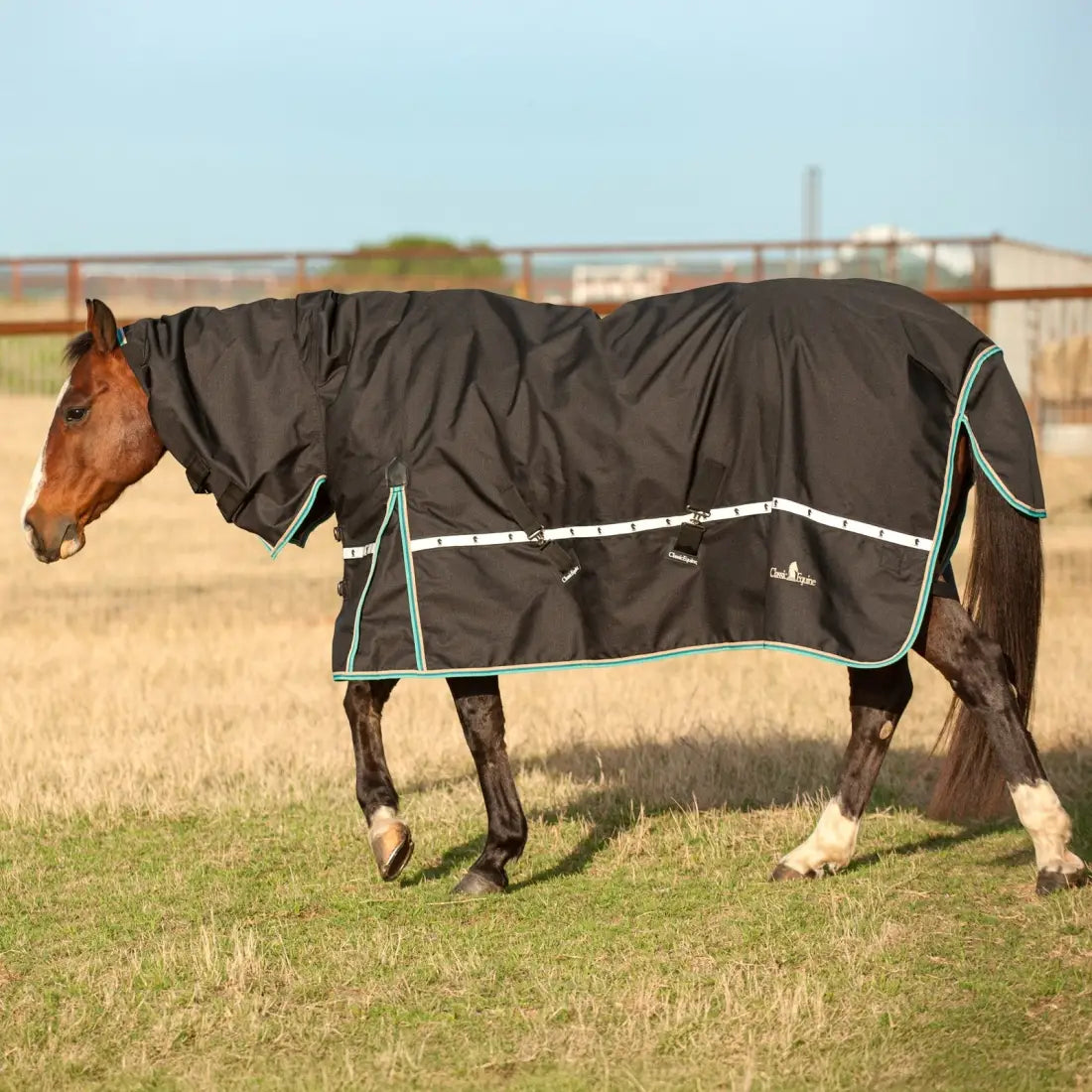Classic Equine Windbreaker Turnout Sheet - Hooded Rain Sheet