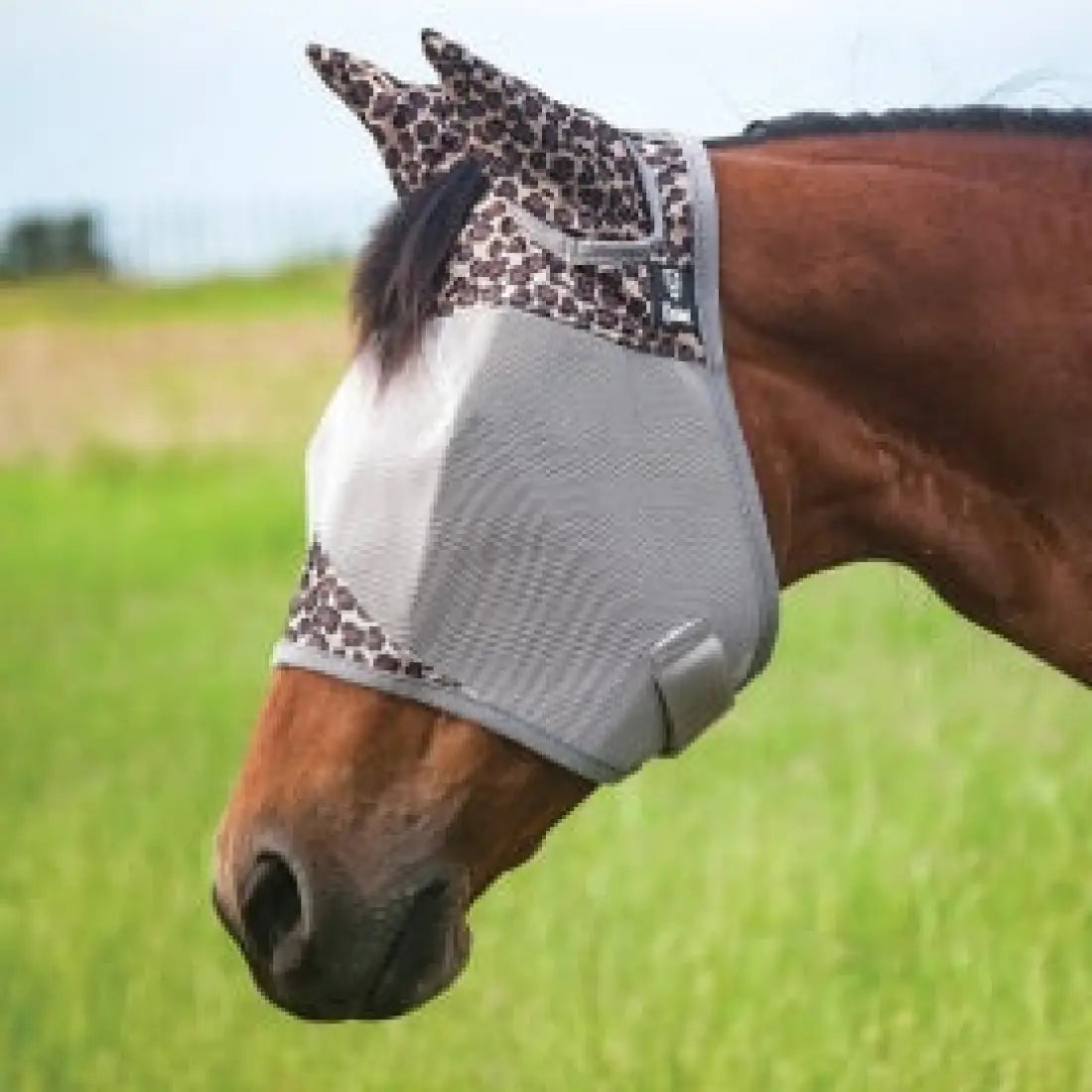 Crusader Fly Mask with Ears (Multiple Colors/Patterns) Mini/Foal / Leopard Fly Protection