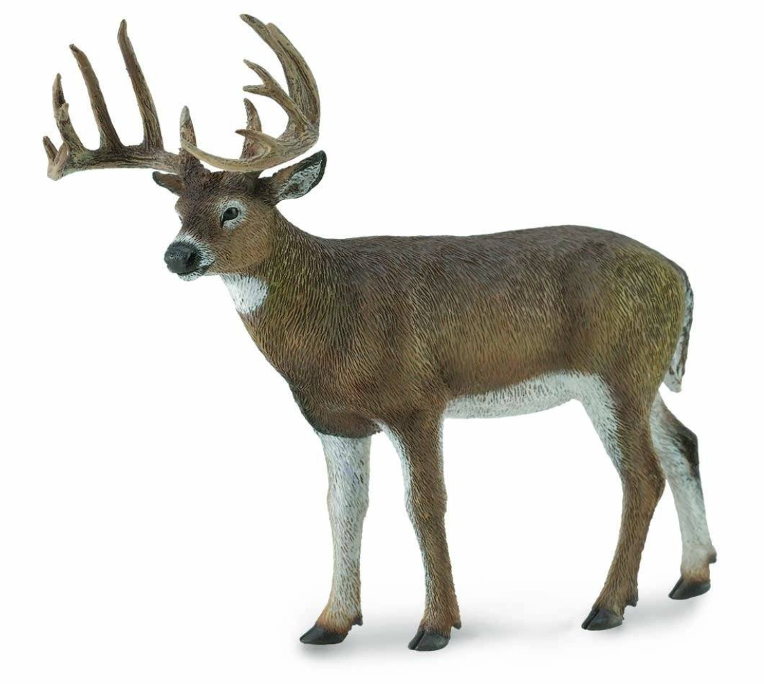 Breyer CollectA "White-Tailed Deer"