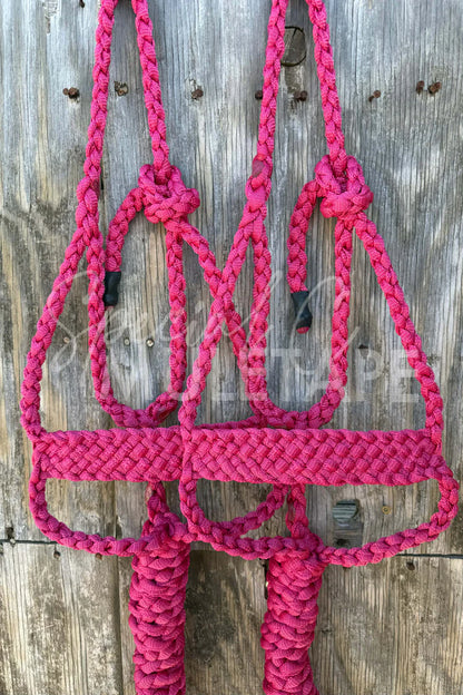 Special C Muletape Brute Halter w/ Lead