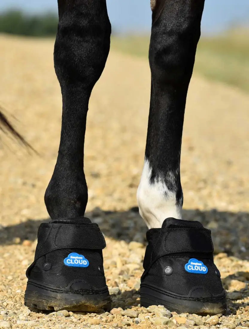 Easyboot Cloud Boot (Individual) Horse Therapy