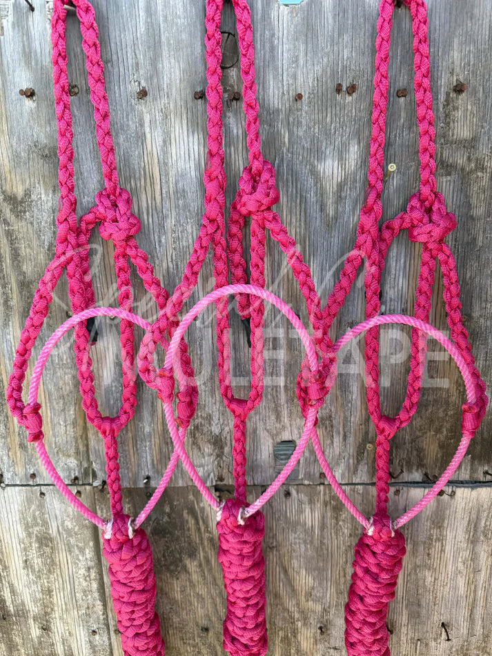 Special C Muletape Lariat Halter w/ Lead