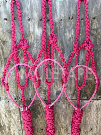 Special C Muletape Lariat Halter w/ Lead