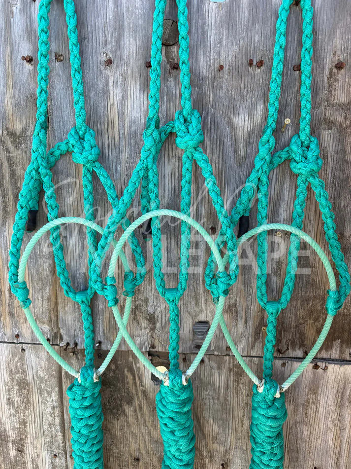 Special C Muletape Lariat Halter w/ Lead
