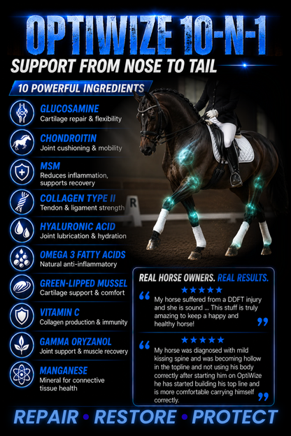 OptiWize Collagen Plus Horse Joint Supplement