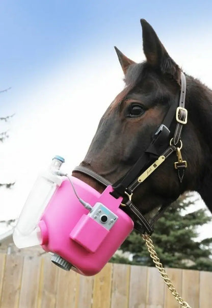 Flexineb E3 Portable Equine Nebulizer Complete System - ADULT Horse Therapy