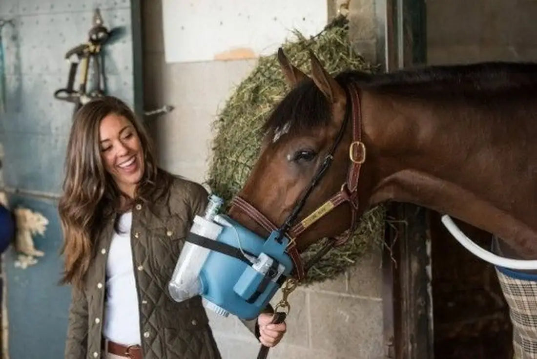 Flexineb E3 Portable Equine Nebulizer Complete System - ADULT Horse Therapy