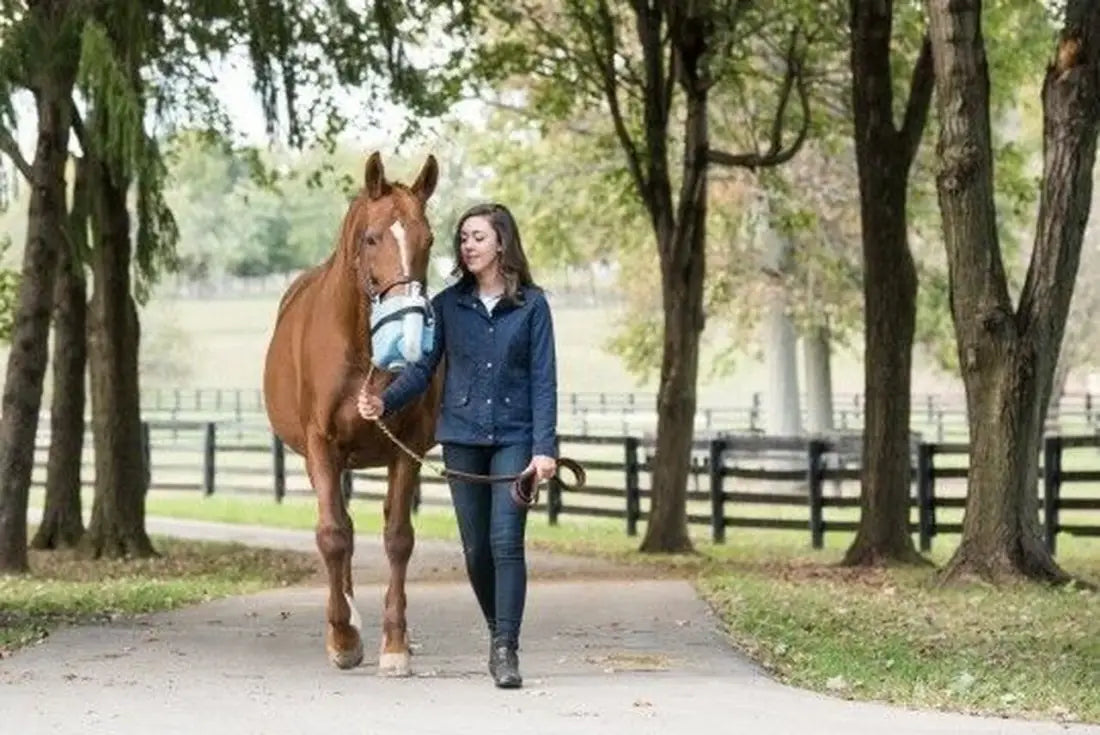 Flexineb E3 Portable Equine Nebulizer Complete System - ADULT Horse Therapy