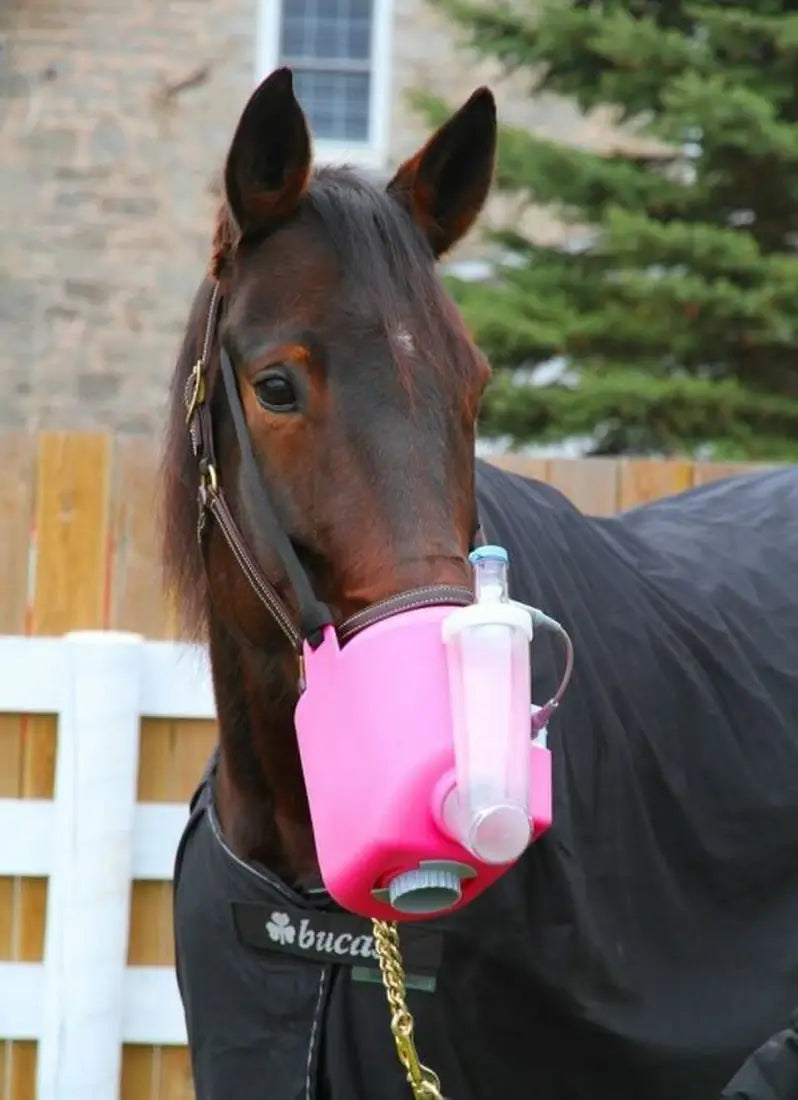 Flexineb E3 Portable Equine Nebulizer Complete System - ADULT Horse Therapy