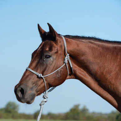 Classic Equine Rope Halter and 9' Lead Rope