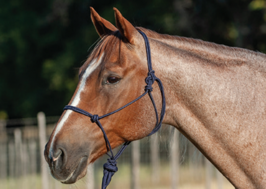 Classic Equine Nylon Rope Halter