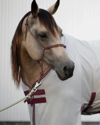 Hay Chix Buckle Safety Covers Blanket/Sheet Accessory