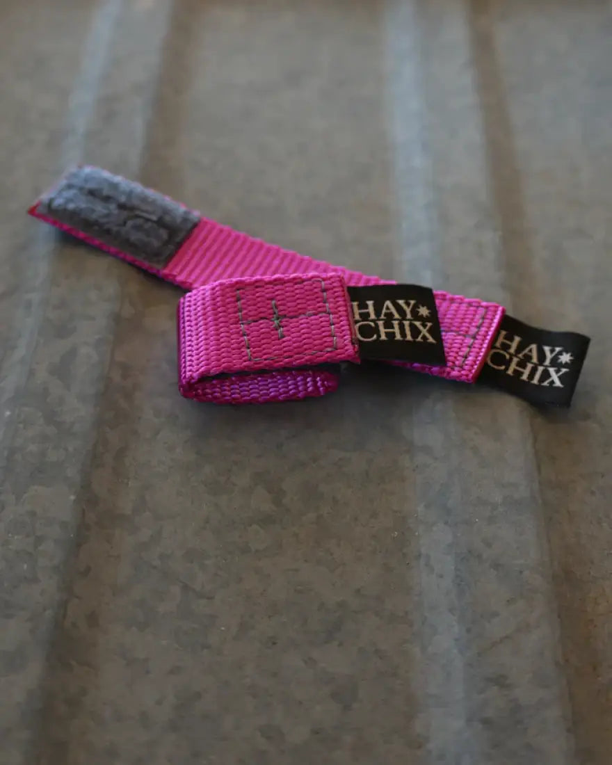 Hay Chix Buckle Safety Covers Magenta Pink Blanket/Sheet Accessory