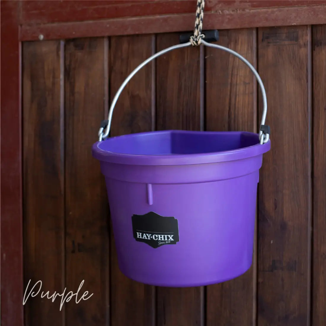 Hay Chix Favorite Bucket Purple Bucket