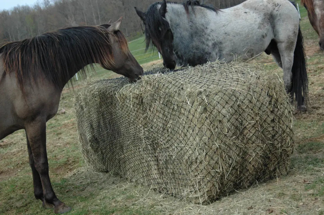 Hay Chix Large Bale Net Hay Bags