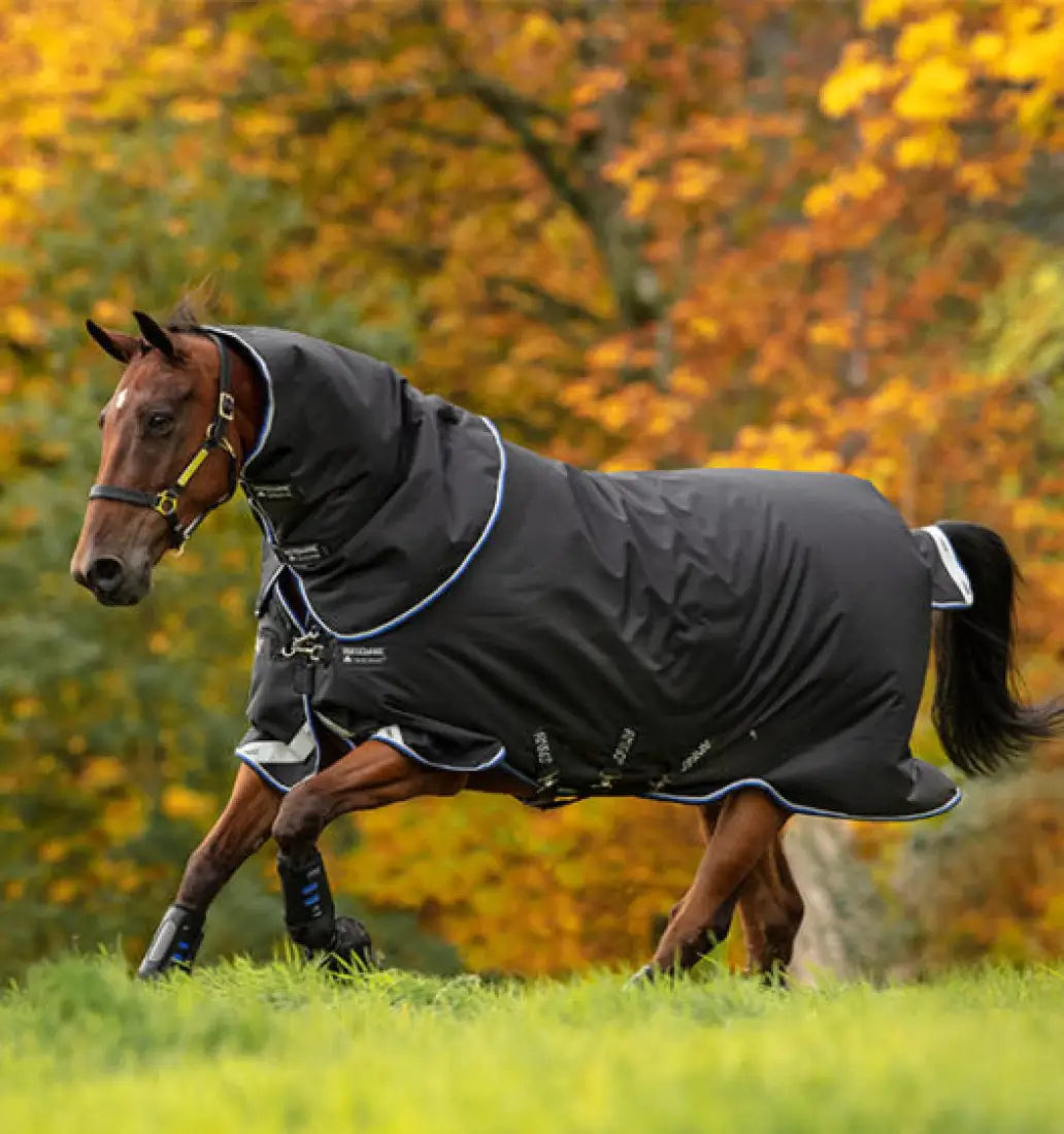 Horseware Amigo® Bravo 1200D Plus (250g Medium) Winter Blanket 75’’ / Black/Strong Blue/Black Winter Blanket