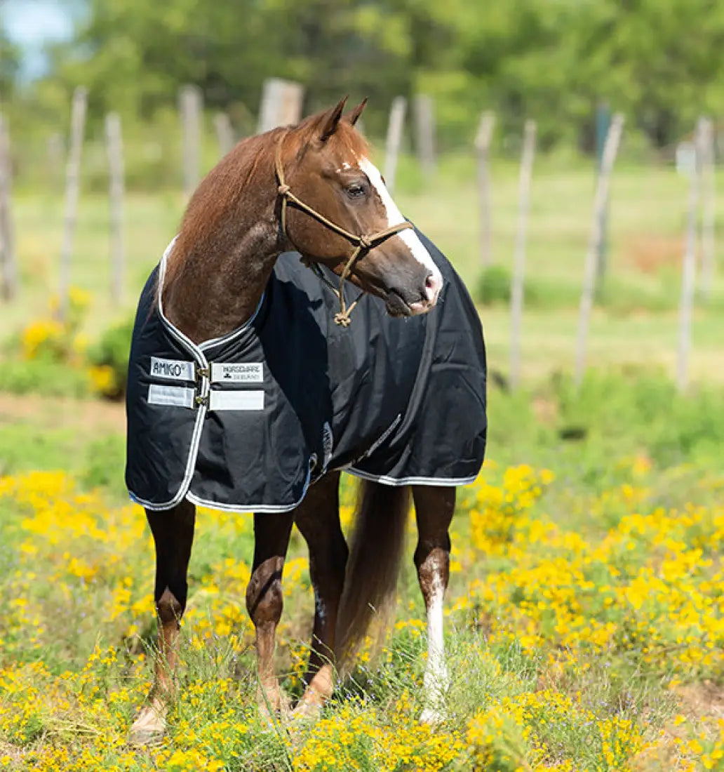 Horseware Amigo® Stock Horse (200g Medium) Winter Blanket Winter Blanket
