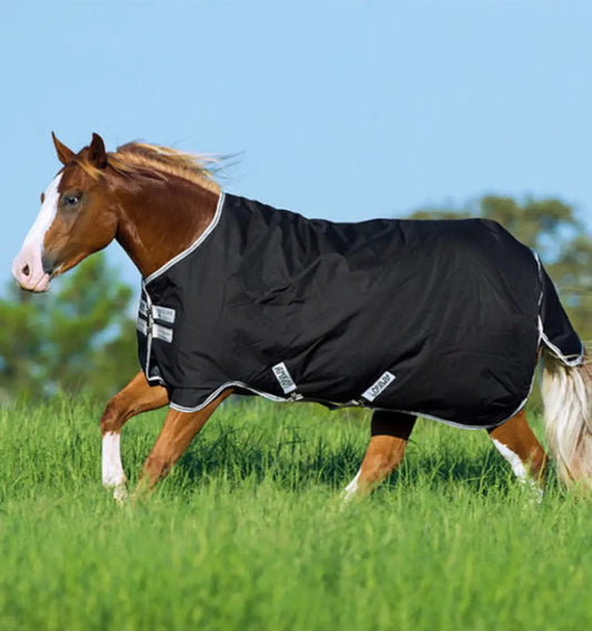 Horseware Amigo® Stock Horse (200g Medium) Winter Blanket 68’’ / Black/Silver Winter Blanket