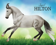 Breyer Traditional Series "Jaquel Hilton/ Criollo Stallion"