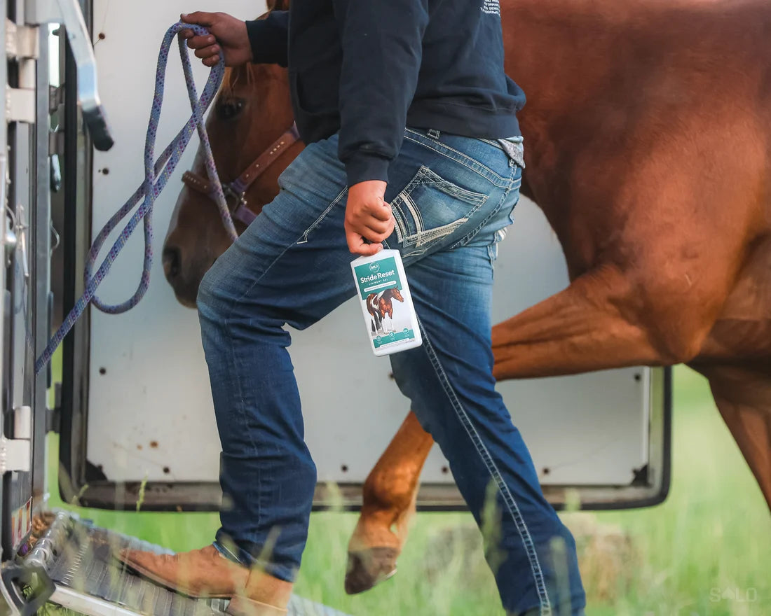 Solo Select StrideReset - Liniment Gel 15oz.