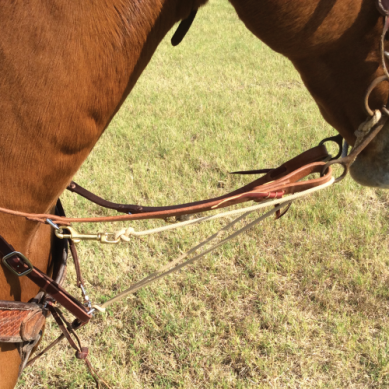 Phil Haugen German Martingale