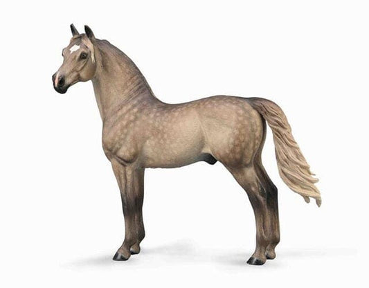 Breyer CollectA "Morgan Stallion - Silver Grulla"