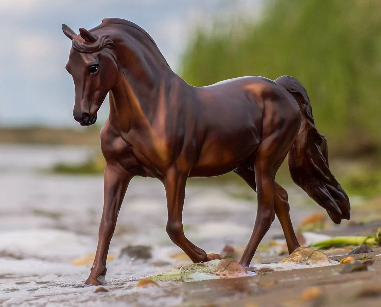 Breyer Traditional Series "MorganQuest Native Sun"