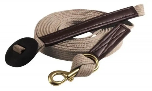 Mustang Lunge Line Training