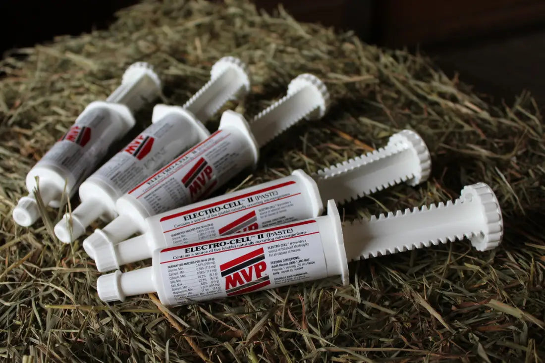 MVP Electro-Cell II Paste Equine Supplement