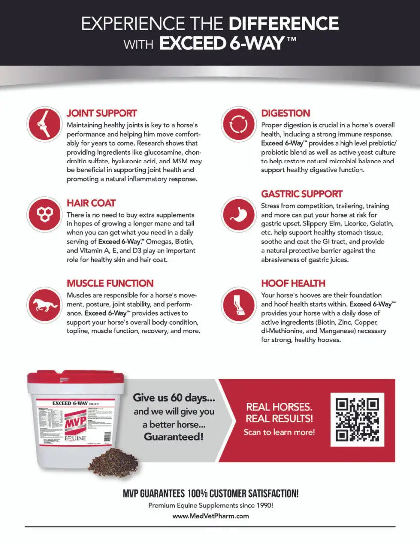 MVP Exceed 6-Way (Pellets) Equine Supplement